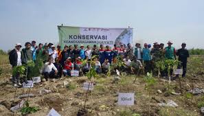 PEPC, IDFoS, dan Perhutani Libatkan para Pihak Lakukan Konservasi Kawasan Hutan