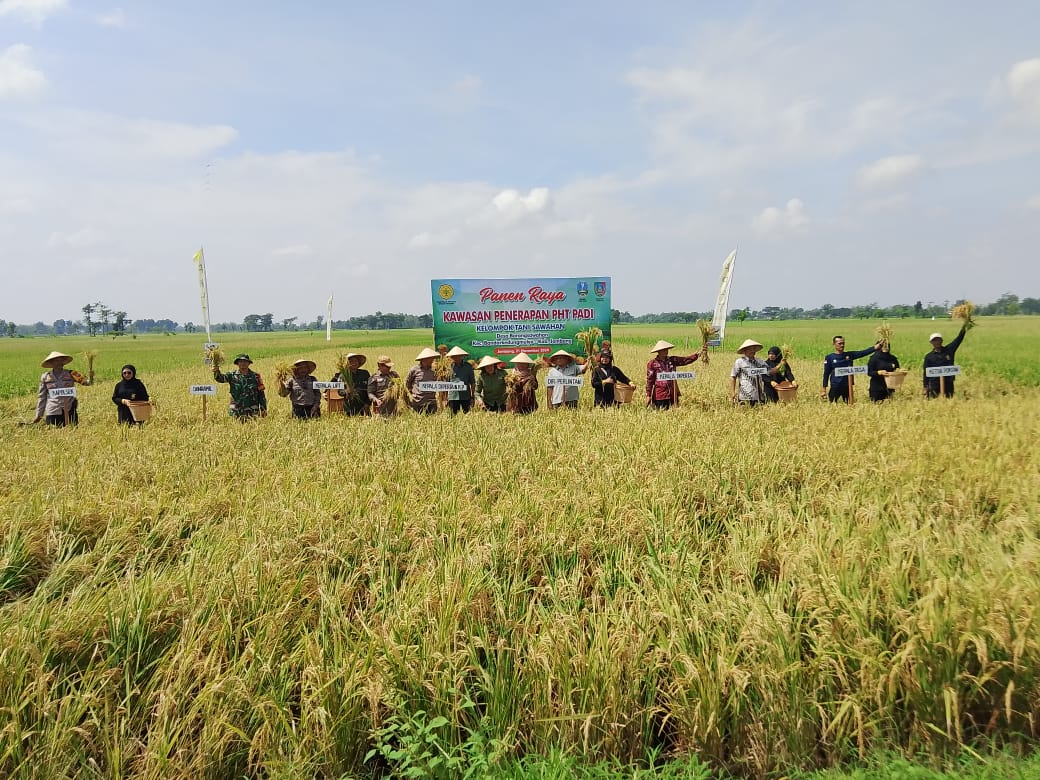 Kementan Tingkatkan Produks Padi di Jombang melalui Penerapan PHT