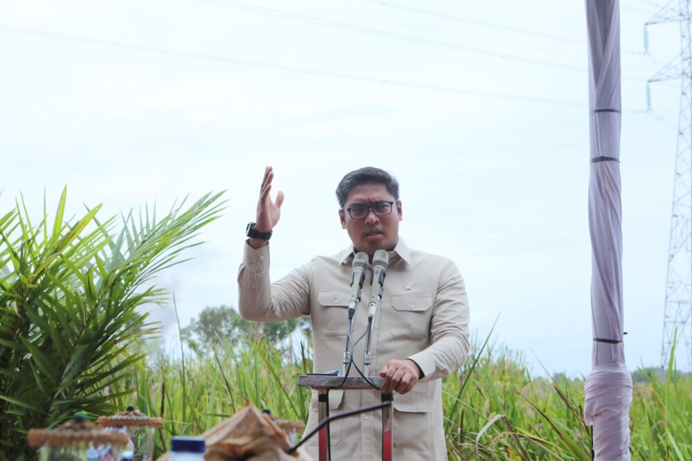 Wamentan Sudaryono Dorong Optimasi Lahan Rawa Capai 106 Ribu Hektar dan 150 ribu Hektar Cetak Sawah Baru di Sumsel