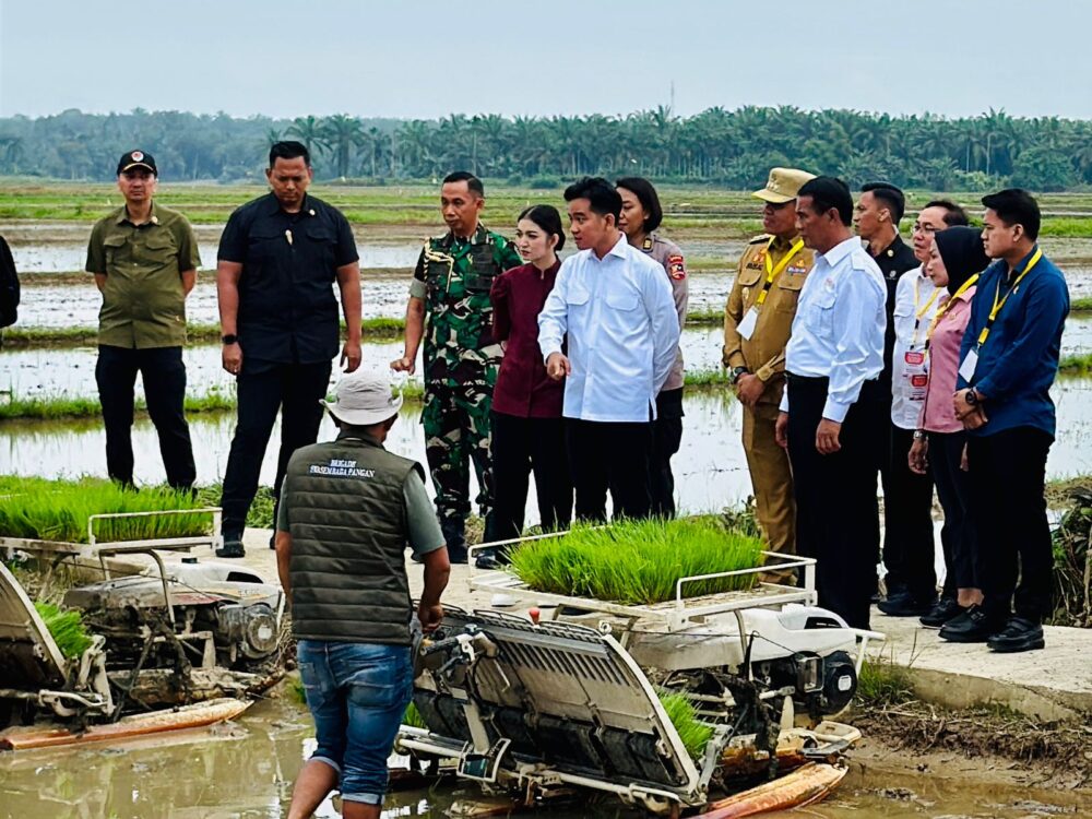 Wapres Gibran Rakabuming Raka didampingi Mentan Amran Sulaiman melakukan taman padi di Kabupaten Langkat, Sumatera Utara, pada Selasa (24/12/2024) pagi. Foto: Humas Ditjen Tanaman Pangan.