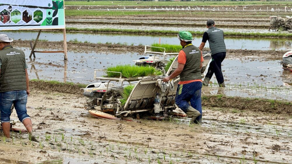 Kemenkop dan UKM Sebut Delapan Alasan Penting Petani untuk Berkoperasi