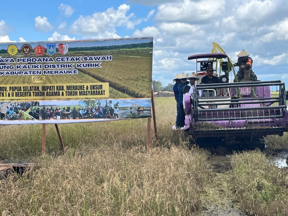 Panen Perdana Cetak Sawah Kampung Kaliki dengan Mekanisasi Penuh, Harapan Kesejahteraan Rakyat Merauke