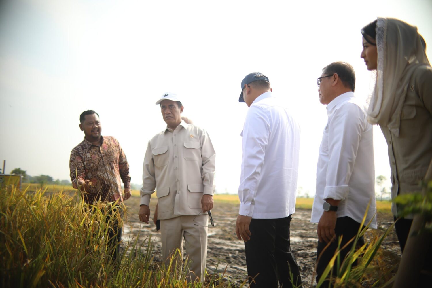 Panen dan Serap Gabah di Gresik, Mentan Amran: Petani Bahagia, Terima Kasih Presiden Prabowo