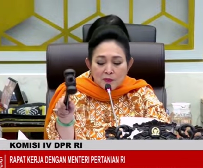 Kementan Butuh Anggaran Rp 44,64 T, Berikut Keputusan Komisi IV DPR RI