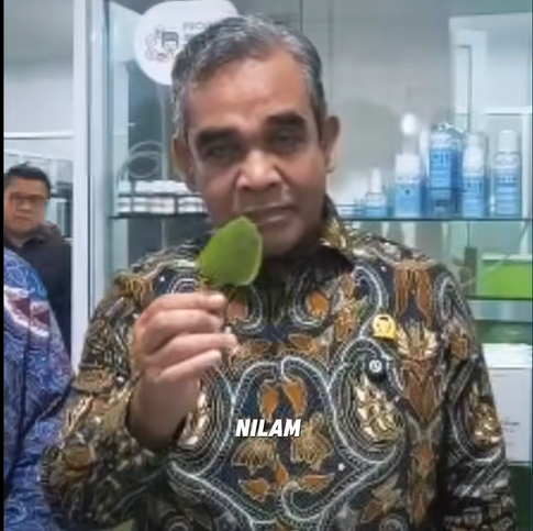 Pundi-Pundi Cuan dari Budidaya Nilam