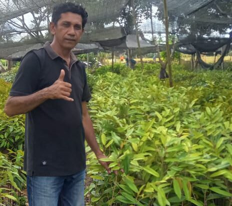 Cara Risal Hadapi Pasang Surut Usaha Penangkaran Bibit Durian