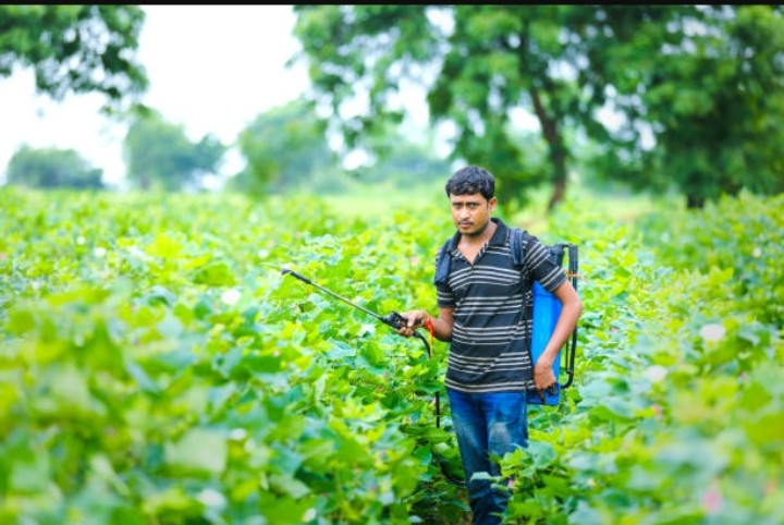 Dampak Pakta Perdagangan India-AS terhadap Jutaan Petani India